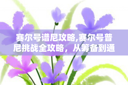 赛尔号谱尼攻略,赛尔号普尼挑战全攻略，从筹备到通关的完整指南