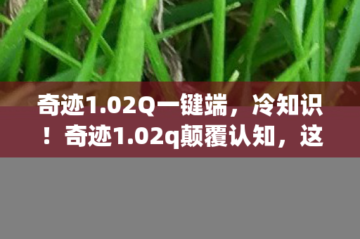 奇迹1.02Q一键端，冷知识！奇迹1.02q颠覆认知，这些设计细节让你目瞪口呆
