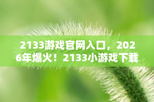 2133游戏官网入口,2026年爆火!2133小游戏下载量破亿的背后藏着什么秘密? 2133游戏官网入口,2026年爆火!2133小游戏下载量破亿的背后藏着什么秘密?