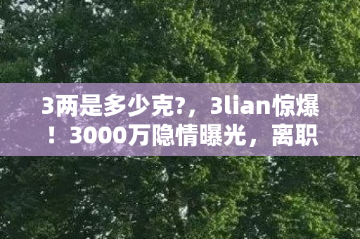 3两是多少克?,3lian惊爆!3000万隐情曝光,离职老兵拍桌,这方案能过?吓一跳! 3两是多少克?,3lian惊爆!3000万隐情曝光,离职老兵拍桌,这方案能过?吓一跳!