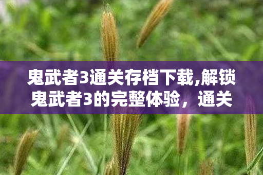 鬼武者3通关存档下载,解锁鬼武者3的完整体验，通关存档的实用价值
