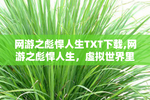 网游之彪悍人生TXT下载,网游之彪悍人生，虚拟世界里的热血与成长