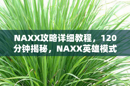 NAXX攻略详细教程,120分钟揭秘,NAXX英雄模式从诞生到封神的终极谜题,泪目! NAXX攻略详细教程,120分钟揭秘,NAXX英雄模式从诞生到封神的终极谜题,泪目!