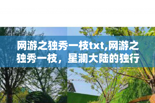 网游之独秀一枝txt,网游之独秀一枝，星澜大陆的独行传奇