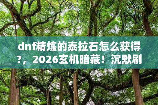dnf精炼的泰拉石怎么获得?，2026玄机暗藏！沉默刷图十年，精炼泰拉石竟藏着这般真相