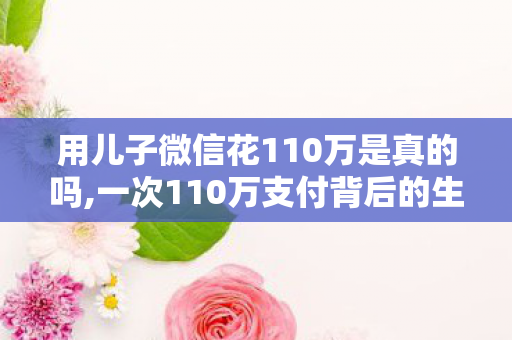 用儿子微信花110万是真的吗,一次110万支付背后的生活感悟