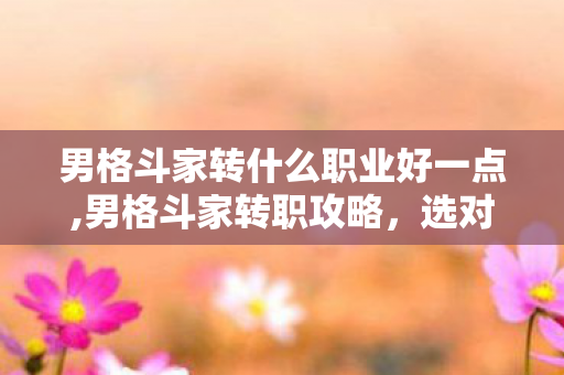 男格斗家转什么职业好一点,男格斗家转职攻略，选对方向，解锁战斗新维度