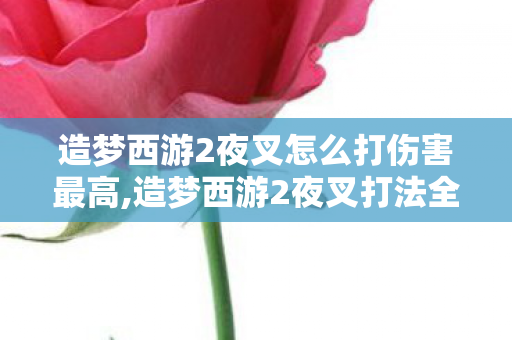 造梦西游2夜叉怎么打伤害最高,造梦西游2夜叉打法全解析 新手也能轻松通关 造梦西游2夜叉怎么打伤害最高,造梦西游2夜叉打法全解析 新手也能轻松通关
