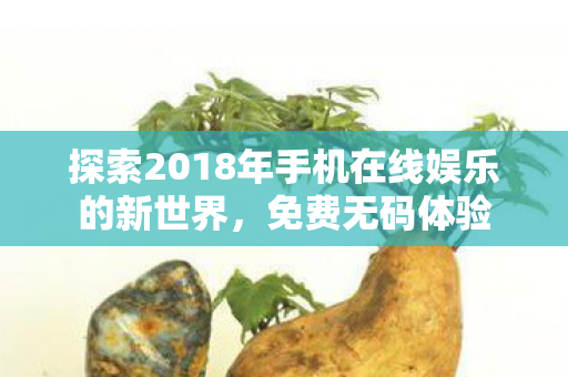 探索2018年手机在线娱乐的新世界,免费无码体验 探索2018年手机在线娱乐的新世界,免费无码体验