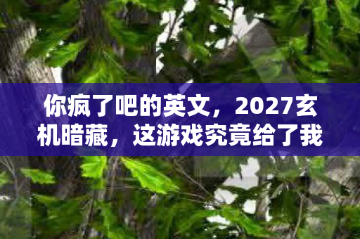 你疯了吧的英文,2027玄机暗藏,这游戏究竟给了我什么,让我沉默至今? 你疯了吧的英文,2027玄机暗藏,这游戏究竟给了我什么,让我沉默至今?