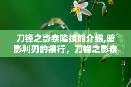 刀锋之影泰隆技能介绍,暗影利刃的疾行,刀锋之影泰隆的刺客之道 刀锋之影泰隆技能介绍,暗影利刃的疾行,刀锋之影泰隆的刺客之道