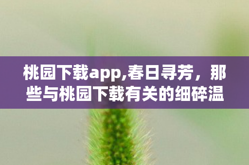 桃园下载app,春日寻芳,那些与桃园下载有关的细碎温暖 桃园下载app,春日寻芳,那些与桃园下载有关的细碎温暖