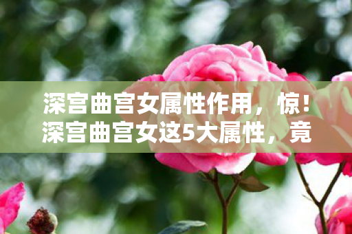 深宫曲宫女属性作用,惊!深宫曲宫女这5大属性,竟藏着逆天改命的秘密? 深宫曲宫女属性作用,惊!深宫曲宫女这5大属性,竟藏着逆天改命的秘密?
