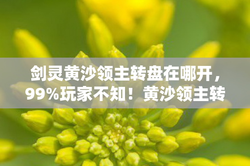 剑灵黄沙领主转盘在哪开,99%玩家不知!黄沙领主转盘竟藏这3处逆天玄机,颠覆你的认知! 剑灵黄沙领主转盘在哪开,99%玩家不知!黄沙领主转盘竟藏这3处逆天玄机,颠覆你的认知!