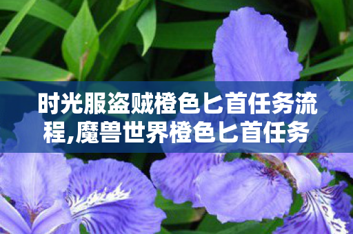 时光服盗贼橙色匕首任务流程,魔兽世界橙色匕首任务流程详解 时光服盗贼橙色匕首任务流程,魔兽世界橙色匕首任务流程详解