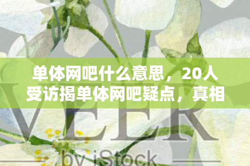 单体网吧什么意思，20人受访揭单体网吧疑点，真相曝光那一刻，老板都绷不住了！