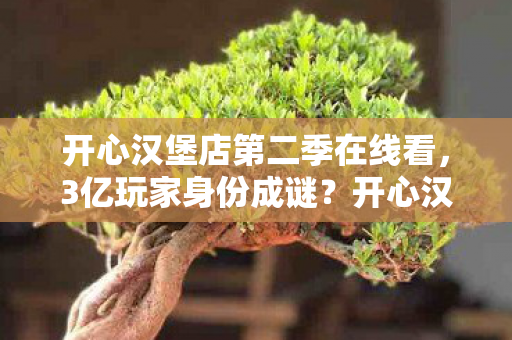 开心汉堡店第二季在线看，3亿玩家身份成谜？开心汉堡店2背后藏着多少心酸游戏人