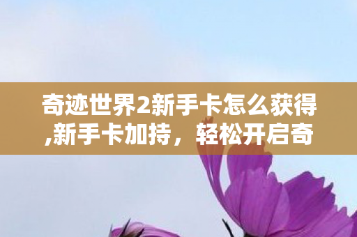 奇迹世界2新手卡怎么获得,新手卡加持,轻松开启奇迹世界2的奇幻冒险 奇迹世界2新手卡怎么获得,新手卡加持,轻松开启奇迹世界2的奇幻冒险