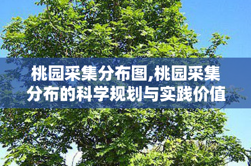 桃园采集分布图,桃园采集分布的科学规划与实践价值 桃园采集分布图,桃园采集分布的科学规划与实践价值