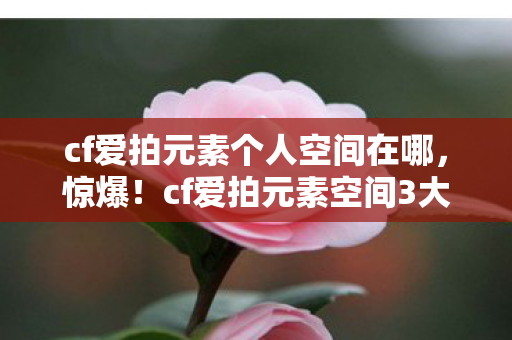 cf爱拍元素个人空间在哪,惊爆!cf爱拍元素空间3大隐藏玩法,99%玩家竟从未发现? cf爱拍元素个人空间在哪,惊爆!cf爱拍元素空间3大隐藏玩法,99%玩家竟从未发现?