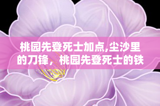 桃园先登死士加点,尘沙里的刀锋，桃园先登死士的铁血印记