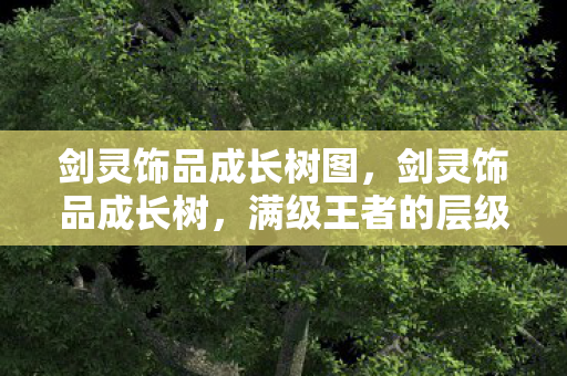 剑灵饰品成长树图,剑灵饰品成长树,满级王者的层级幻梦,在现实废墟里灵魂震颤的悖论 剑灵饰品成长树图,剑灵饰品成长树,满级王者的层级幻梦,在现实废墟里灵魂震颤的悖论