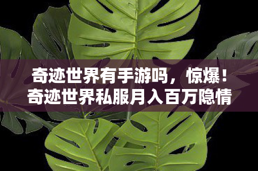 奇迹世界有手游吗，惊爆！奇迹世界私服月入百万隐情曝光，真相让人吓一跳！