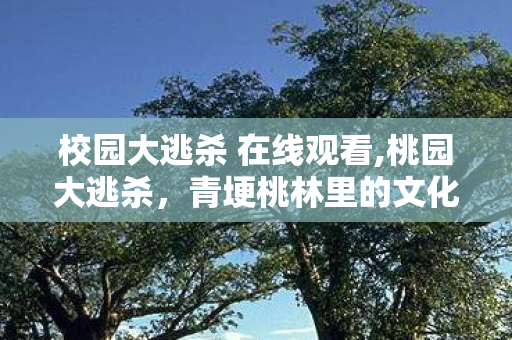 校园大逃杀 在线观看,桃园大逃杀，青埂桃林里的文化竞速