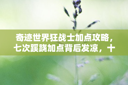 奇迹世界狂战士加点攻略,七次蹊跷加点背后发凉,十年逃兵的狂战士人生竟是场荒诞剧 奇迹世界狂战士加点攻略,七次蹊跷加点背后发凉,十年逃兵的狂战士人生竟是场荒诞剧