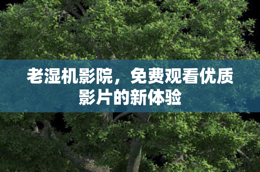 老湿机影院，免费观看优质影片的新体验