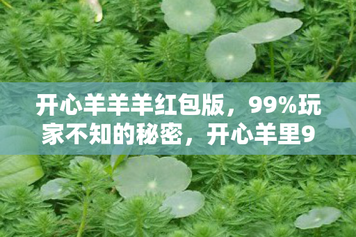 开心羊羊羊红包版,99%玩家不知的秘密,开心羊里99%的狂欢,藏着1%扎心的真相 开心羊羊羊红包版,99%玩家不知的秘密,开心羊里99%的狂欢,藏着1%扎心的真相