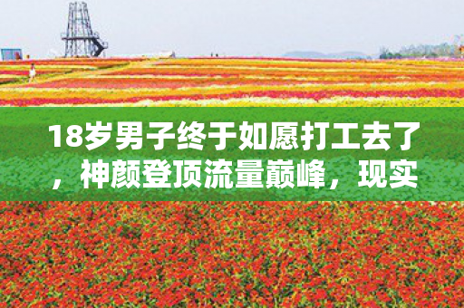 18岁男子终于如愿打工去了,神颜登顶流量巅峰,现实人生却坠入青铜深渊,美貌悖论下的灵魂震颤 18岁男子终于如愿打工去了,神颜登顶流量巅峰,现实人生却坠入青铜深渊,美貌悖论下的灵魂震颤