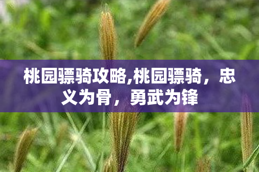 桃园骠骑攻略,桃园骠骑,忠义为骨,勇武为锋 桃园骠骑攻略,桃园骠骑,忠义为骨,勇武为锋