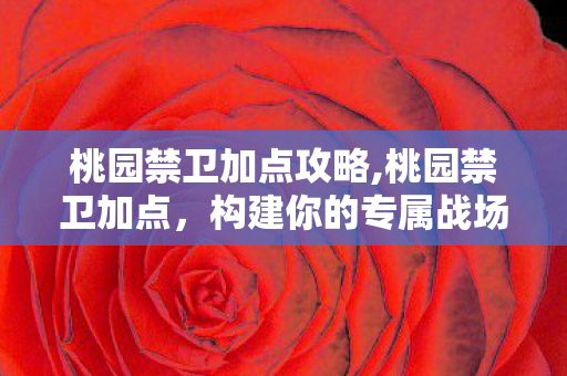 桃园禁卫加点攻略,桃园禁卫加点，构建你的专属战场防御尖兵