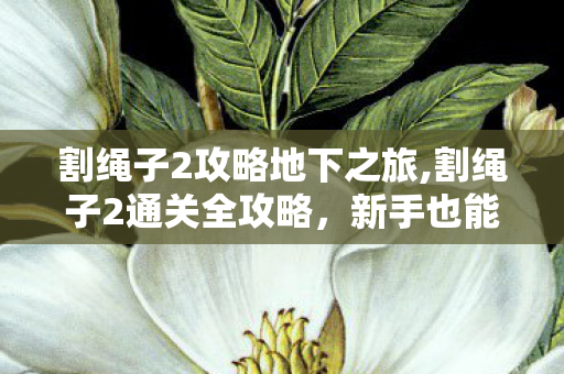 割绳子2攻略地下之旅,割绳子2通关全攻略,新手也能轻松解锁所有关卡 割绳子2攻略地下之旅,割绳子2通关全攻略,新手也能轻松解锁所有关卡
