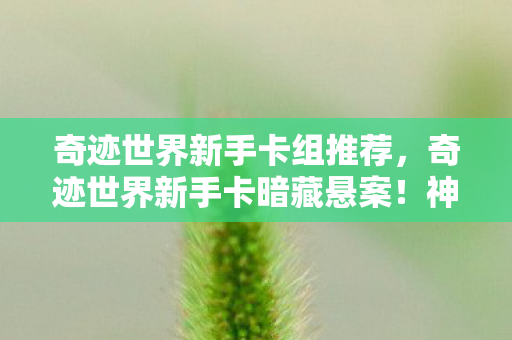 奇迹世界新手卡组推荐,奇迹世界新手卡暗藏悬案!神秘线索交织,毛骨悚然真相待揭 奇迹世界新手卡组推荐,奇迹世界新手卡暗藏悬案!神秘线索交织,毛骨悚然真相待揭