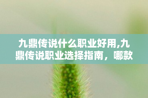九鼎传说什么职业好用,九鼎传说职业选择指南,哪款职业更适合你? 九鼎传说什么职业好用,九鼎传说职业选择指南,哪款职业更适合你?