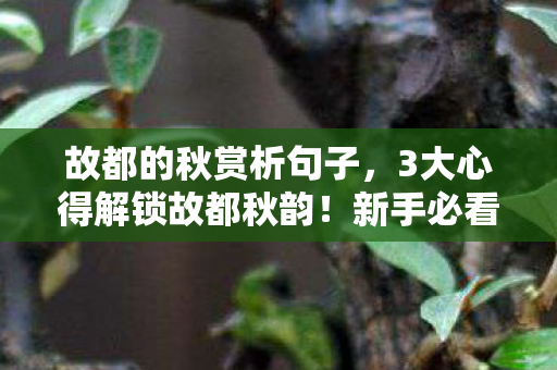 故都的秋赏析句子,3大心得解锁故都秋韵!新手必看避坑指南,别让诗意变遗憾 故都的秋赏析句子,3大心得解锁故都秋韵!新手必看避坑指南,别让诗意变遗憾