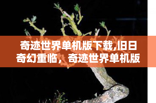 奇迹世界单机版下载,旧日奇幻重临,奇迹世界单机版的别样魅力 奇迹世界单机版下载,旧日奇幻重临,奇迹世界单机版的别样魅力