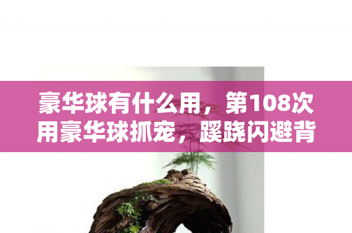 豪华球有什么用，第108次用豪华球抓宠，蹊跷闪避背后发凉，我竟是笼中雀？