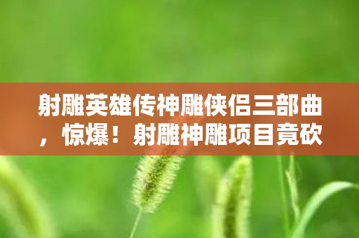 射雕英雄传神雕侠侣三部曲,惊爆!射雕神雕项目竟砍掉3000万玩法,背后隐情让人吓一跳! 射雕英雄传神雕侠侣三部曲,惊爆!射雕神雕项目竟砍掉3000万玩法,背后隐情让人吓一跳!