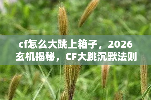cf怎么大跳上箱子,2026玄机揭秘,CF大跳沉默法则,这游戏究竟馈赠我何物? cf怎么大跳上箱子,2026玄机揭秘,CF大跳沉默法则,这游戏究竟馈赠我何物?