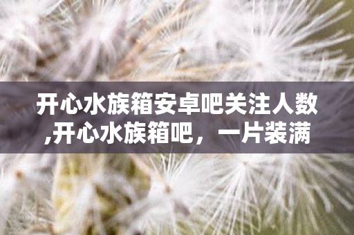 开心水族箱安卓吧关注人数,开心水族箱吧,一片装满小确幸的水族天地 开心水族箱安卓吧关注人数,开心水族箱吧,一片装满小确幸的水族天地