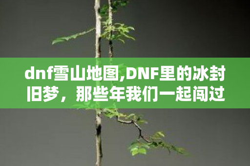 dnf雪山地图,DNF里的冰封旧梦,那些年我们一起闯过的雪山 dnf雪山地图,DNF里的冰封旧梦,那些年我们一起闯过的雪山