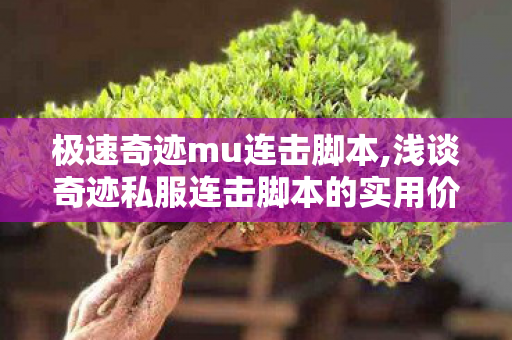 极速奇迹mu连击脚本,浅谈奇迹私服连击脚本的实用价值与合理应用 极速奇迹mu连击脚本,浅谈奇迹私服连击脚本的实用价值与合理应用