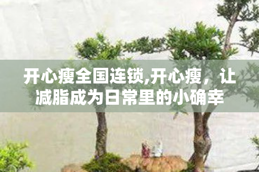 开心瘦全国连锁,开心瘦,让减脂成为日常里的小确幸 开心瘦全国连锁,开心瘦,让减脂成为日常里的小确幸