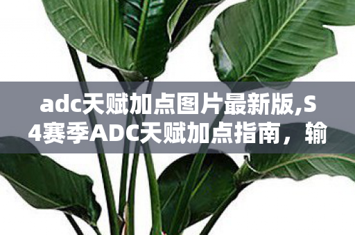 adc天赋加点图片最新版,S4赛季ADC天赋加点指南,输出与生存的精准配比 adc天赋加点图片最新版,S4赛季ADC天赋加点指南,输出与生存的精准配比