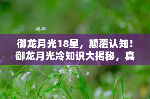御龙月光18星,颠覆认知!御龙月光冷知识大揭秘,真相让你目瞪口呆! 御龙月光18星,颠覆认知!御龙月光冷知识大揭秘,真相让你目瞪口呆!