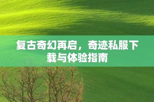 复古奇幻再启,奇迹私服下载与体验指南 复古奇幻再启,奇迹私服下载与体验指南