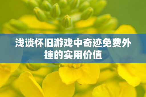 浅谈怀旧游戏中奇迹免费外挂的实用价值 浅谈怀旧游戏中奇迹免费外挂的实用价值